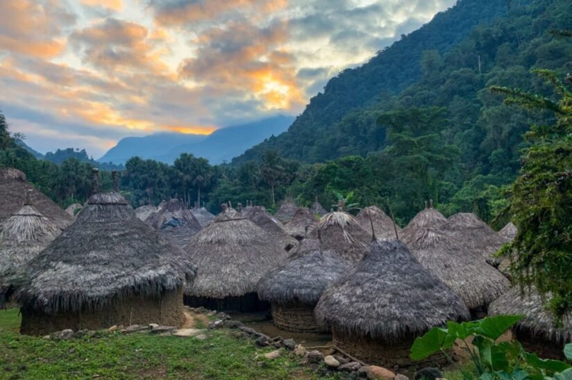 A Cluster Of Thatched Roof Huts Nestled In The Jungle, Part Of The Lost City Trek In Colombia
