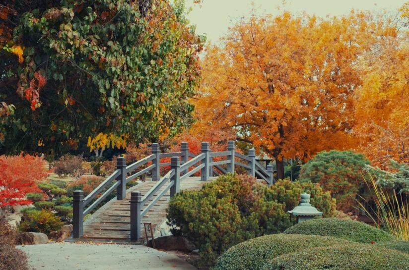 A Serene Park Scene Featuring A Bridge Surrounded By Lush Trees And Bushes, Inviting A Stroll Through The Landscape Garden