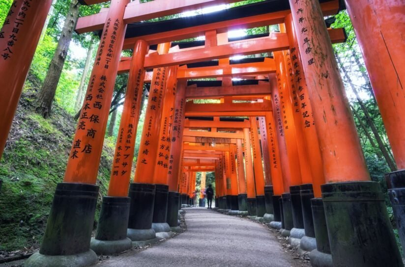 A Winding Path Lined With Vibrant Red Torii Gates Leading To Fushimi Inari Shrine In Kyoto, Japan