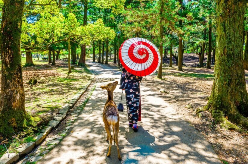 A Woman Walking Alongside A Deer On A Path In Nara Park, Japan, Surrounded By Lush Greenery