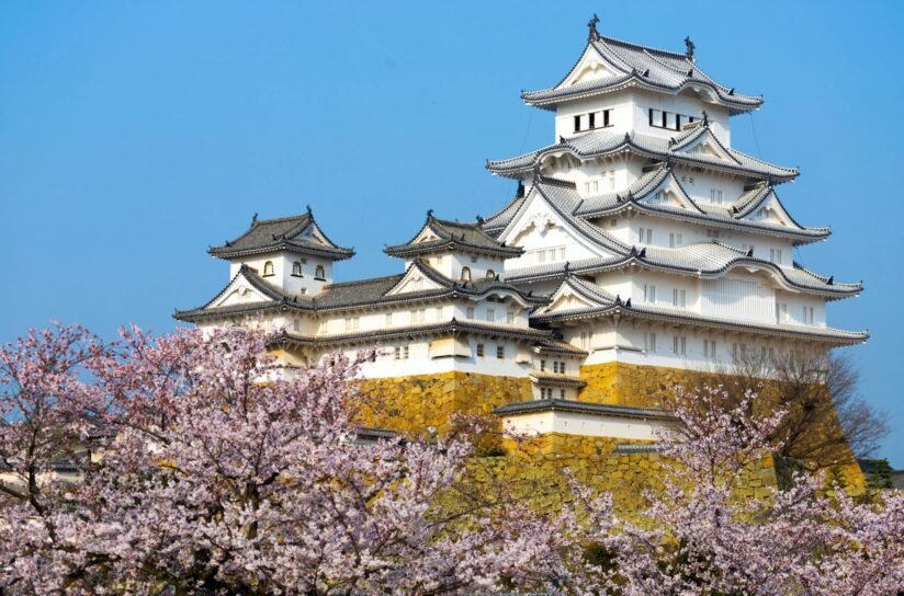 Himeji Castle Surrounded By Blooming Cherry Blossoms, Showcasing A Beautiful Spring Scene