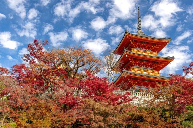 Kiyomizu Dera Temple Pagoda Surrounded By Vibrant Red And Orange Autumn Trees