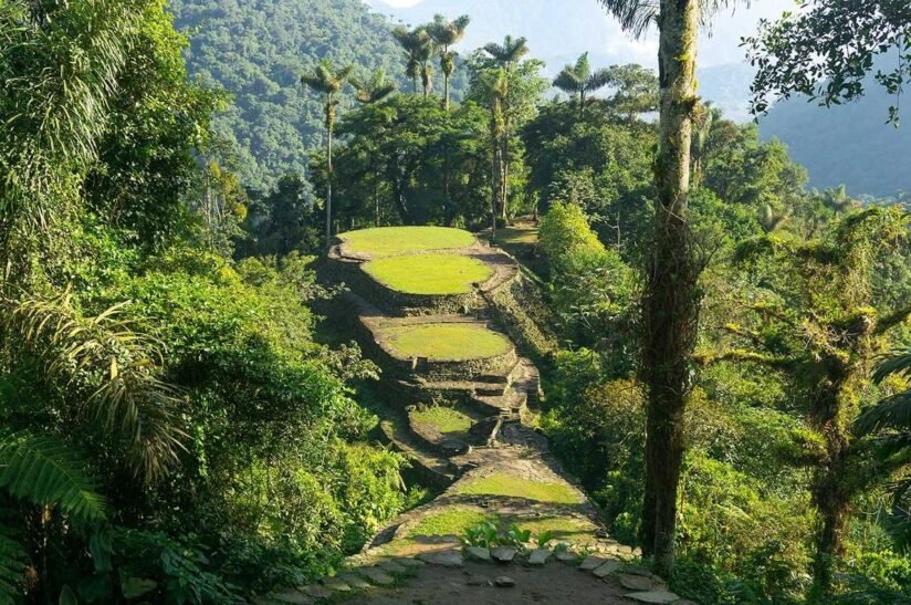 Lush Jungle Landscape With Dense Grass And Trees, Showcasing The Vibrant Ecosystem Of The Lost City Trek In Colombia