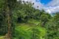 Colombia panoramic view from a hilltop in the colombian jungle, showcasing lush greenery during lost city trek is safe? ultimate guide to trekking safety