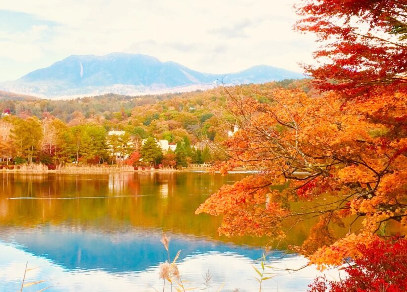 Scenic View Of Japan's Autumn, Featuring Colorful Maple Trees And Traditional Architecture In A Tranquil Setting