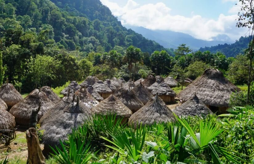 Thatched Roof Huts Surrounded By Dense Jungle Foliage, Showcasing The Lost City Trek In Colombia
